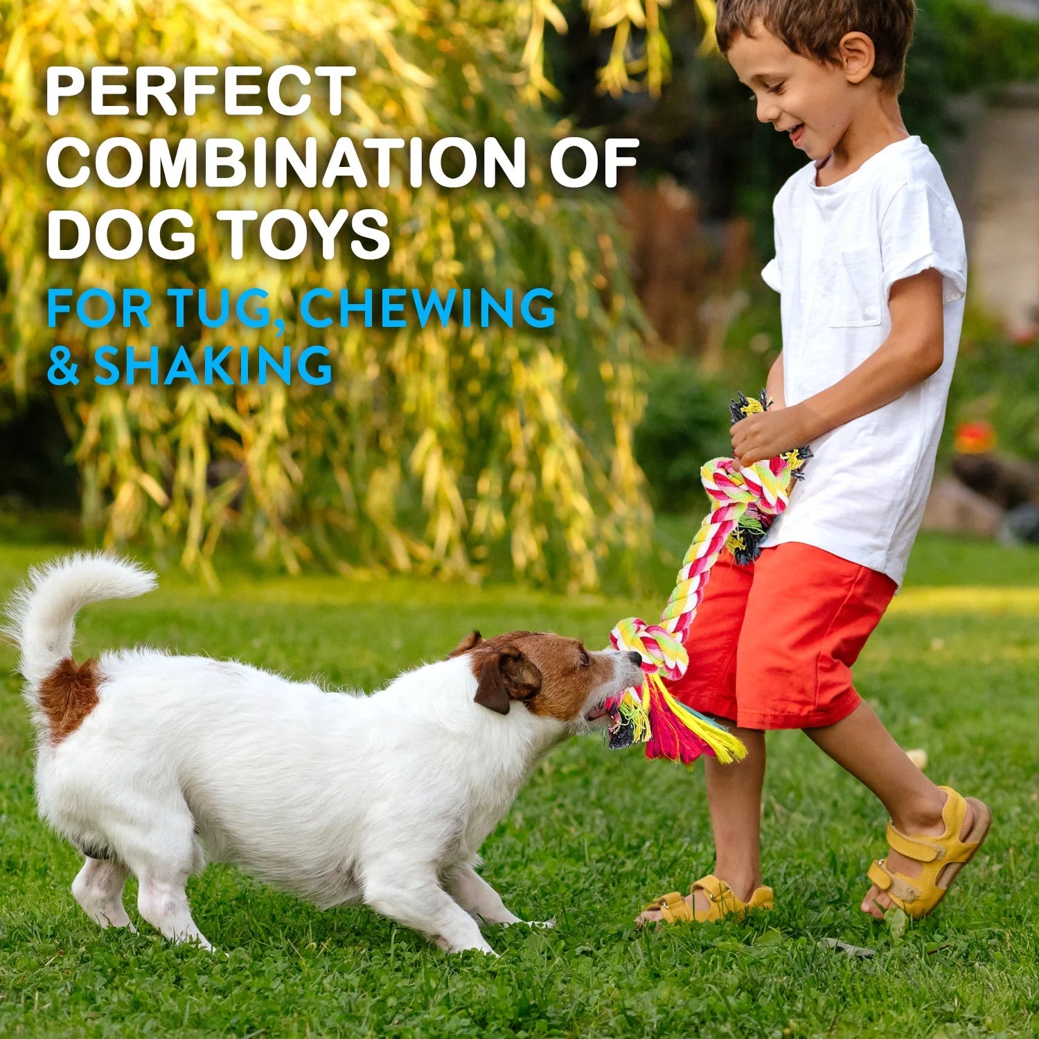 11-Piece Dog Rope Toy Set for Small & Medium Dogs | Interactive Chew & Tug Toys