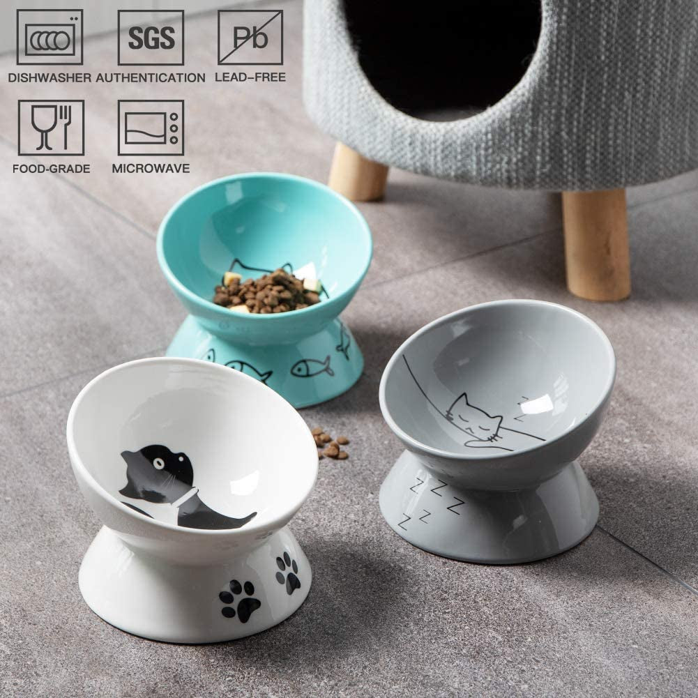 Elevated Ceramic Cat Bowl | Tilted Feeding Dish for Food & Water