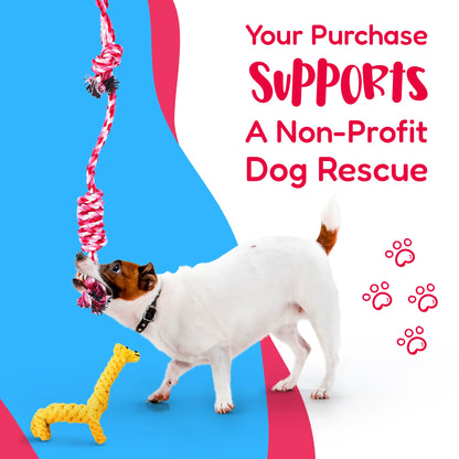 11-Piece Dog Rope Toy Set for Small & Medium Dogs | Interactive Chew & Tug Toys
