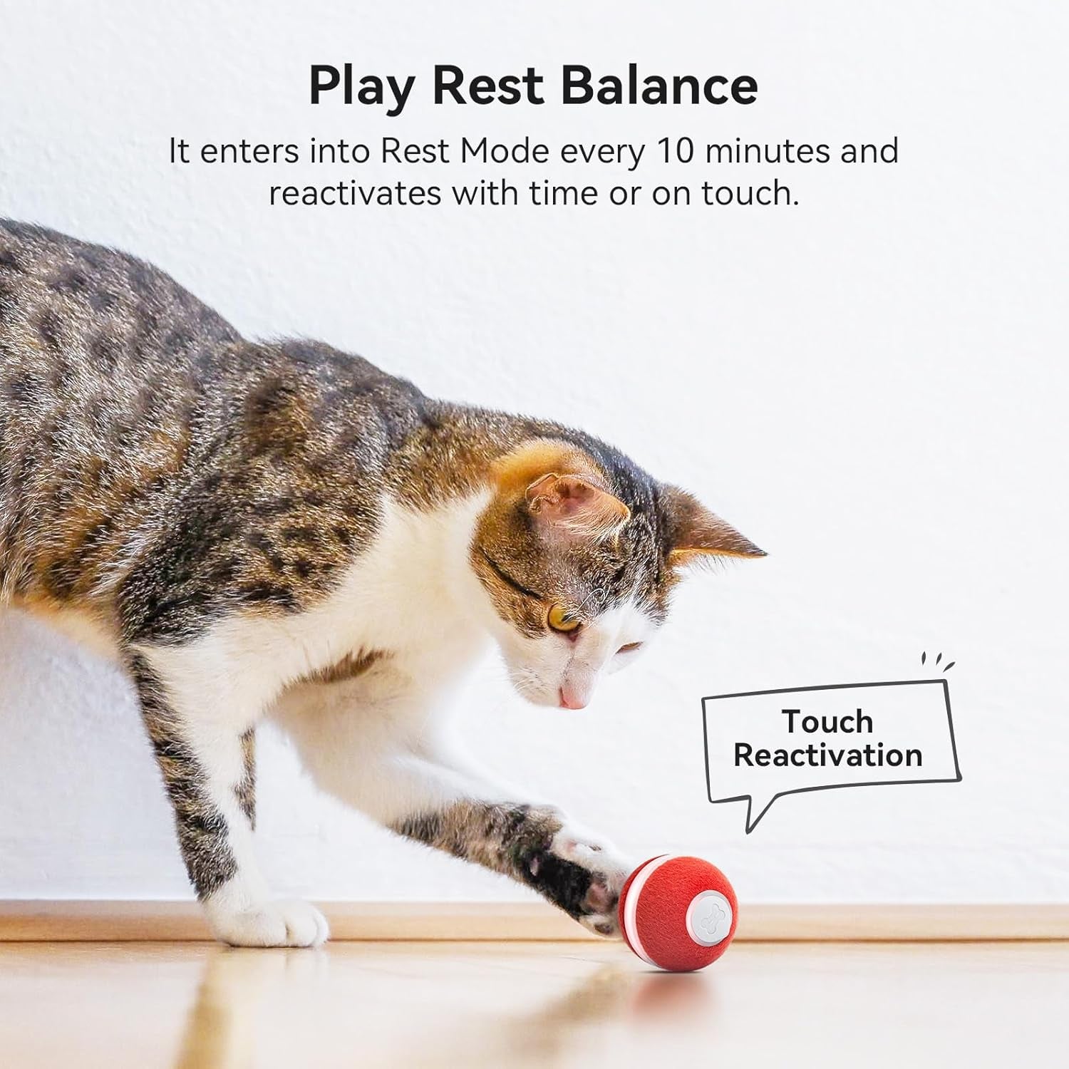 Interactive Rolling Cat Ball | Automatic Moving Toy with LED Light
