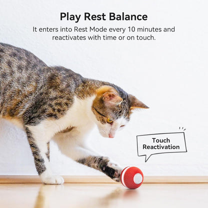 Interactive Rolling Cat Ball | Automatic Moving Toy with LED Light