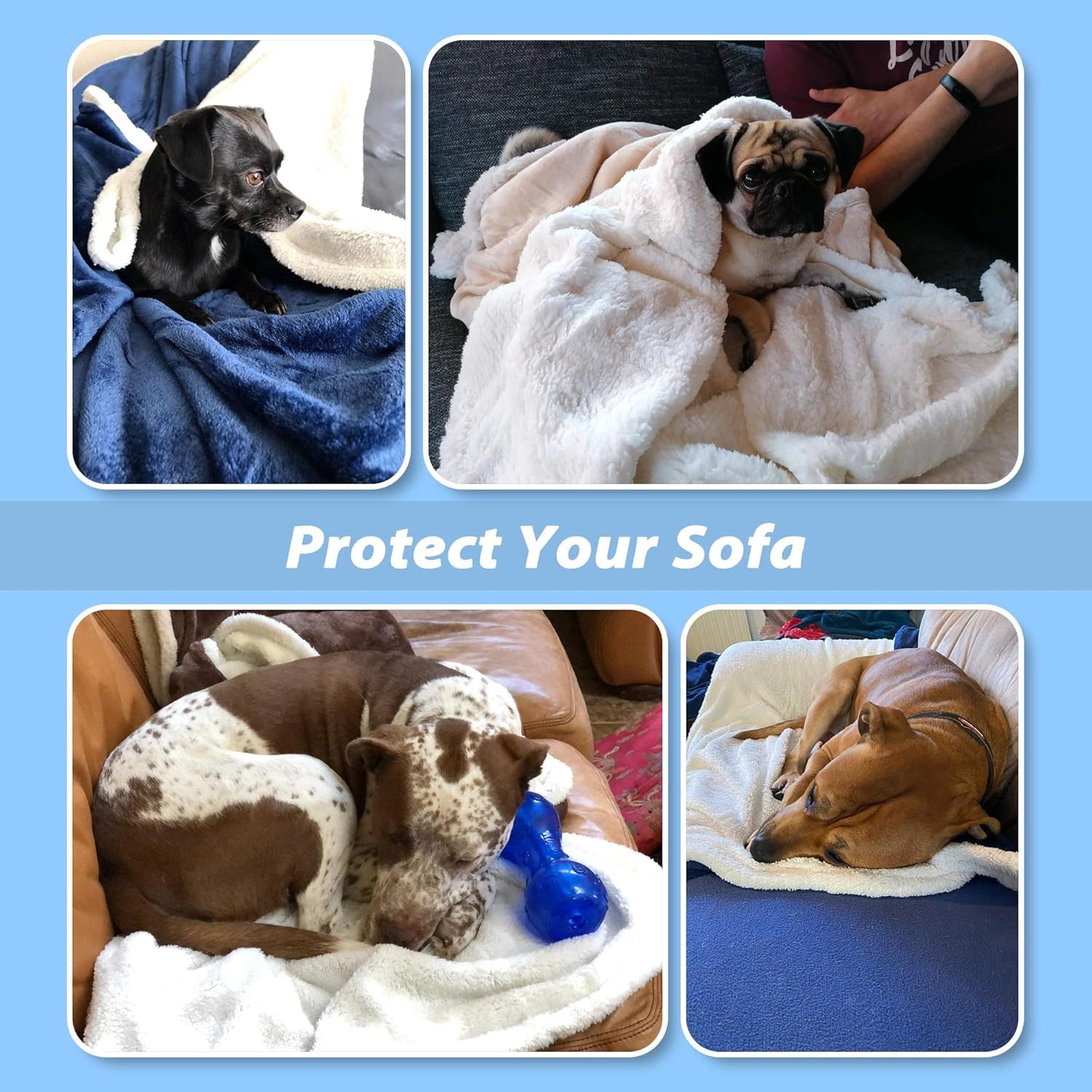 Large Dog Blanket | Ultra Soft Fleece Throw for Beds, Sofas & Travel