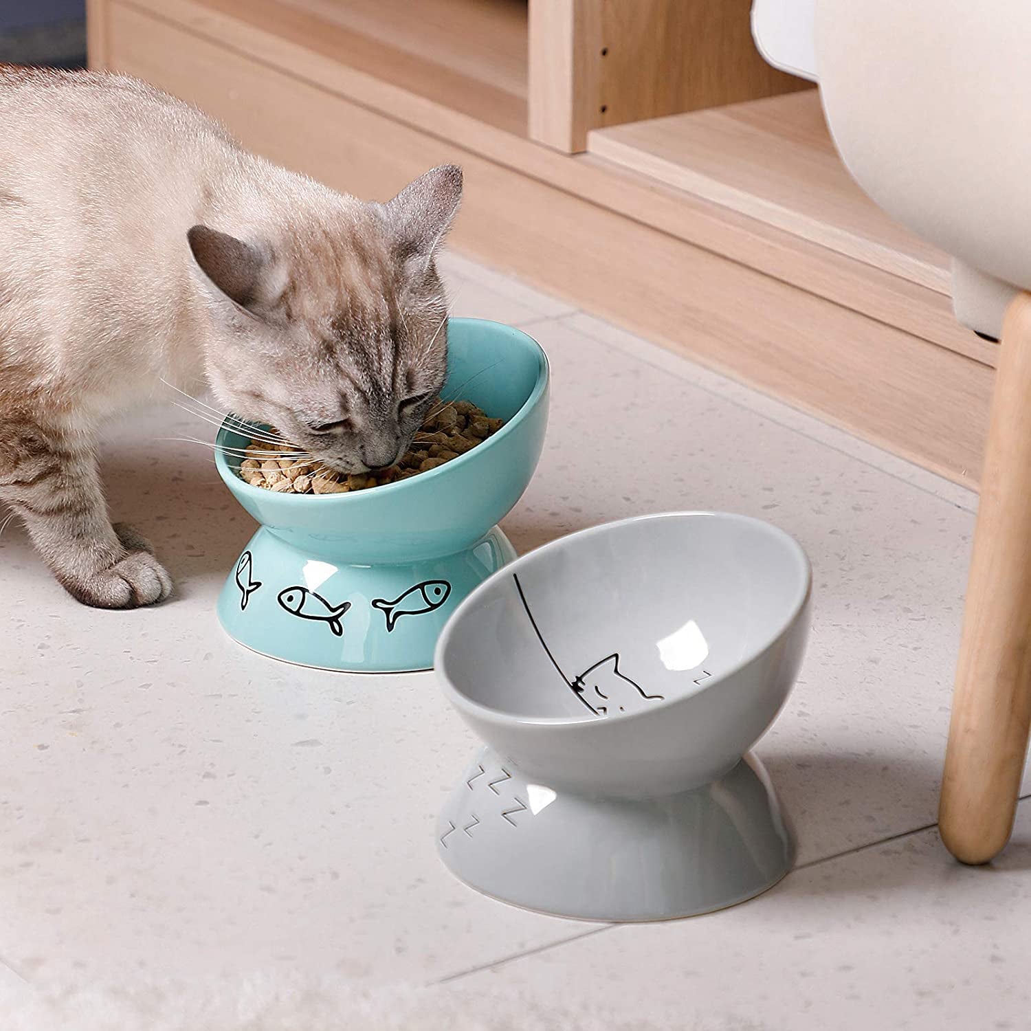 Elevated Ceramic Cat Bowl | Tilted Feeding Dish for Food & Water