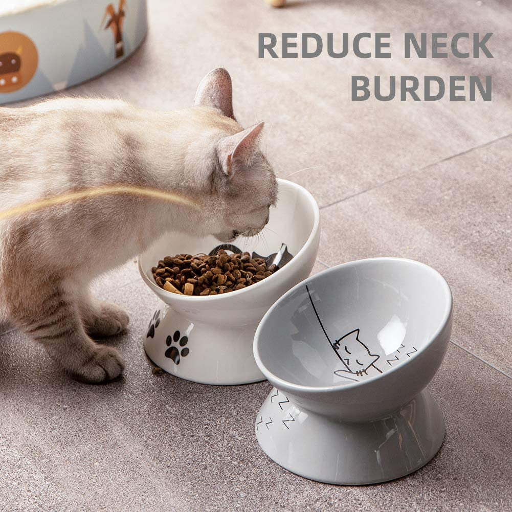 Elevated Ceramic Cat Bowl | Tilted Feeding Dish for Food & Water