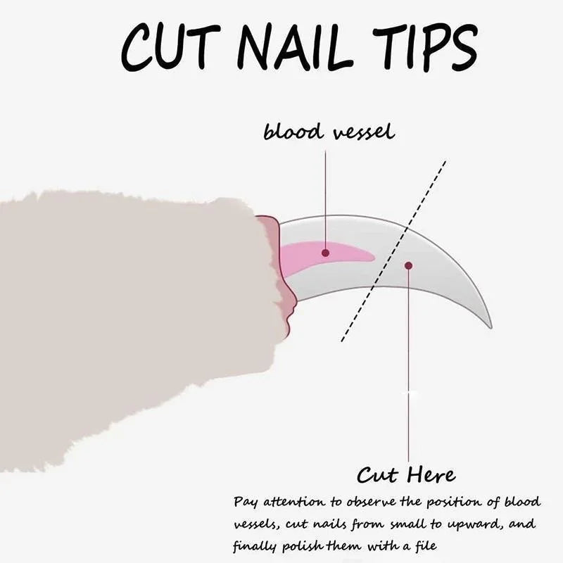Professional Pet Nail Clipper | Safe Grooming Tool for Dogs 