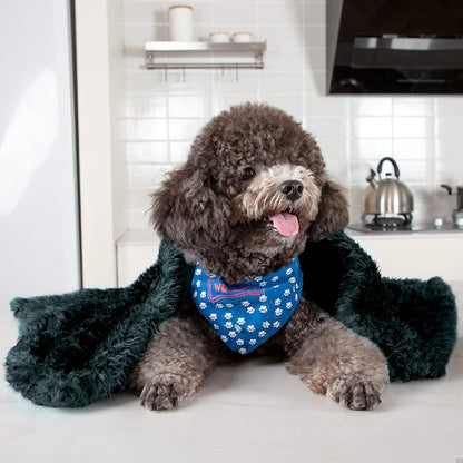 Small Dog Fleece Blanket | Soft Plush Throw for Beds, Sofas & Travel