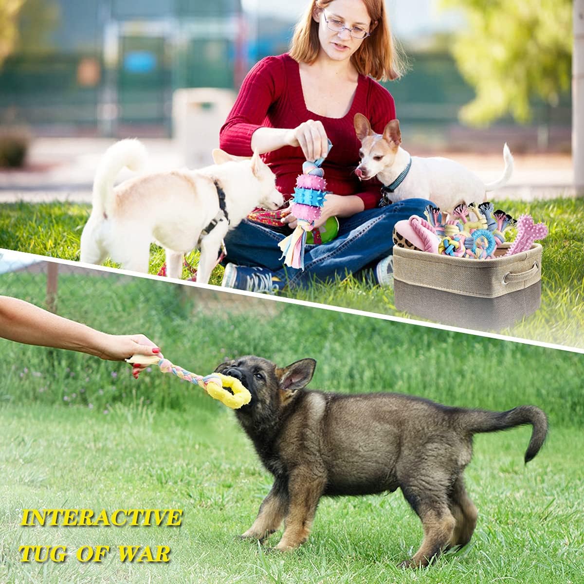 Interactive Puppy Toy Set | 12 Durable Toys for Chewing, Training & Play
