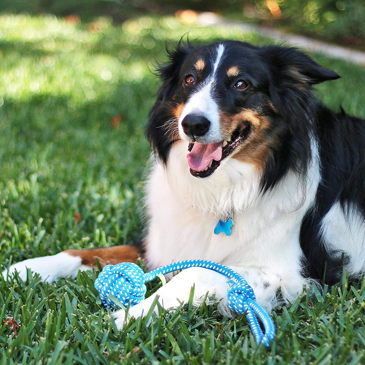 11-Piece Dog Rope Toy Set for Small & Medium Dogs | Interactive Chew & Tug Toys