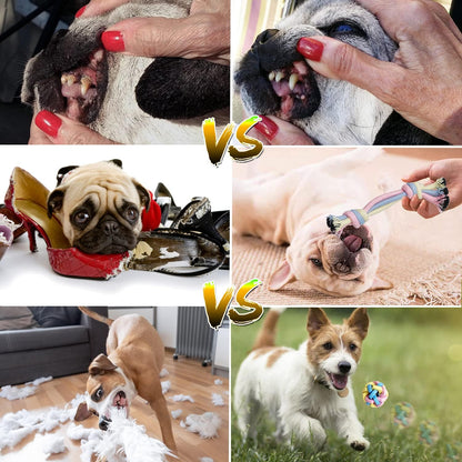 Interactive Puppy Toy Set | 12 Durable Toys for Chewing, Training & Play