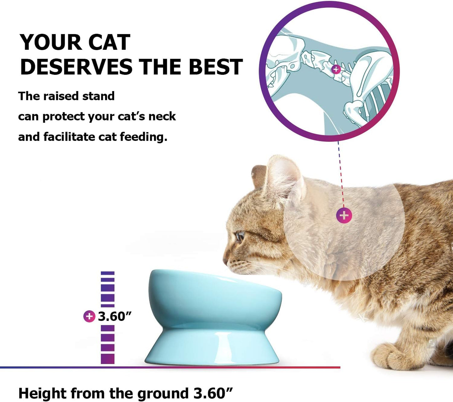 Ceramic Tilted Cat Bowl | 15 oz Elevated Food & Water Bowl