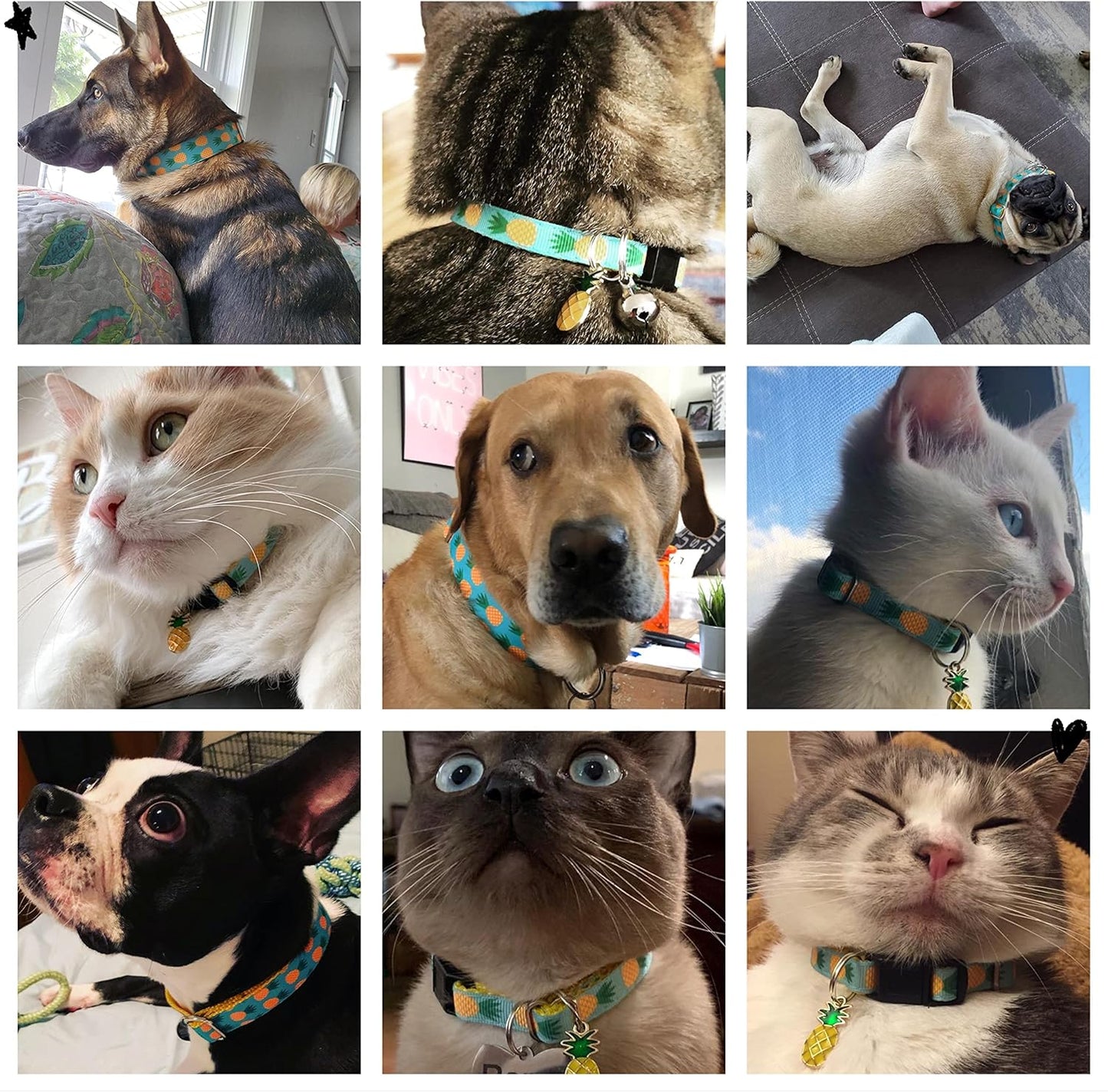 Tropical Pineapple Pet Collar | Adjustable Collar for Cats, Puppies & Dogs