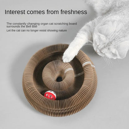 Magic Organ Cat Scratcher | Foldable Corrugated Cardboard Scratch Toy