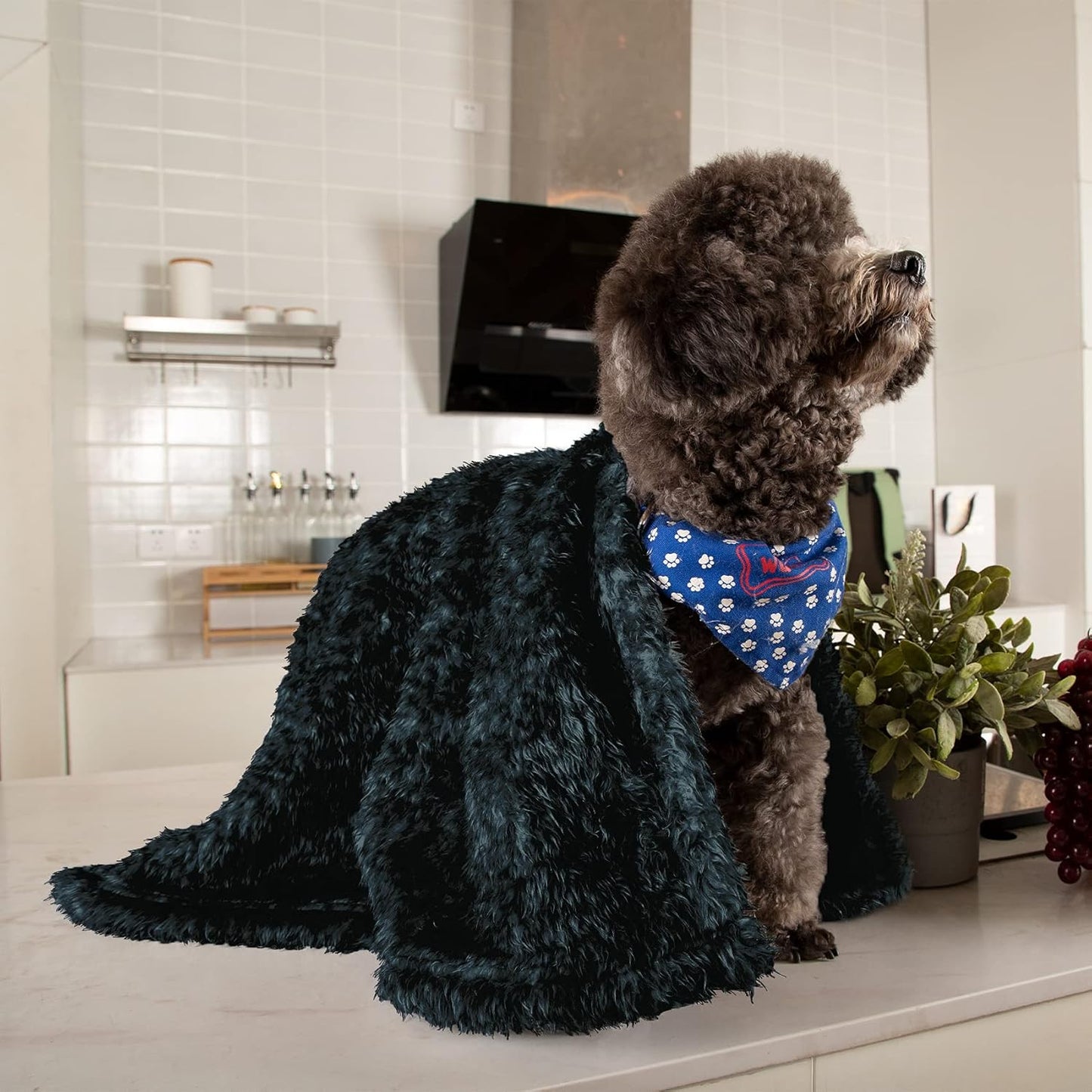 Small Dog Fleece Blanket | Soft Plush Throw for Beds, Sofas & Travel