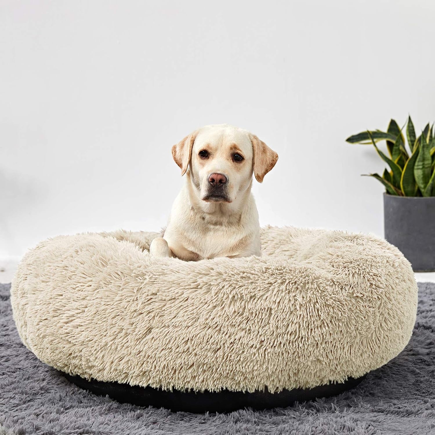 Luxury Calming Donut Dog Bed – Ultra Soft & Washable