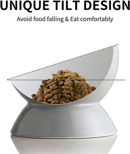 Elevated Ceramic Cat Bowl | Tilted Feeding Dish for Food & Water