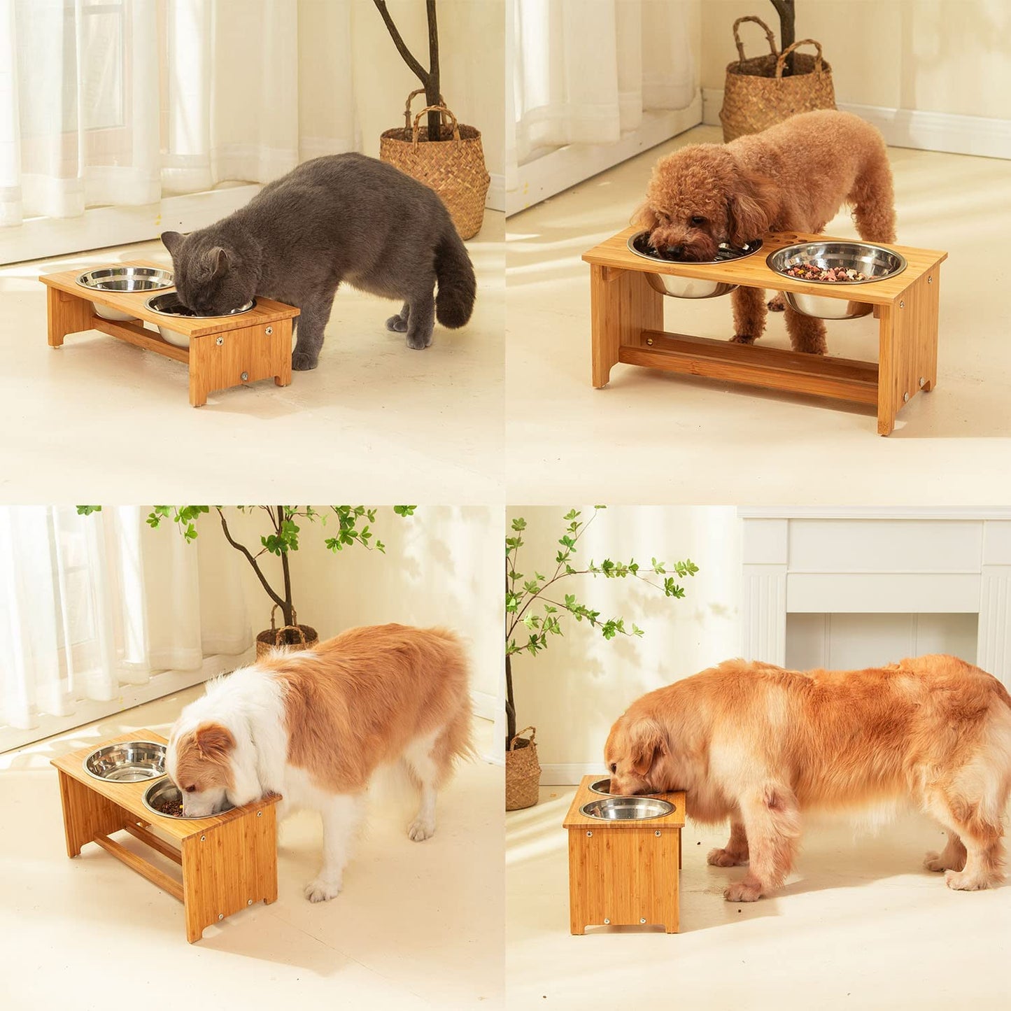 Elevated Pet Bowl Set | Bamboo Feeder Stand with Stainless Steel Bowls