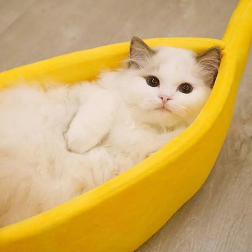 Banana Dog Bed | Cozy Fruit-Shaped Bed with Removable Cushion
