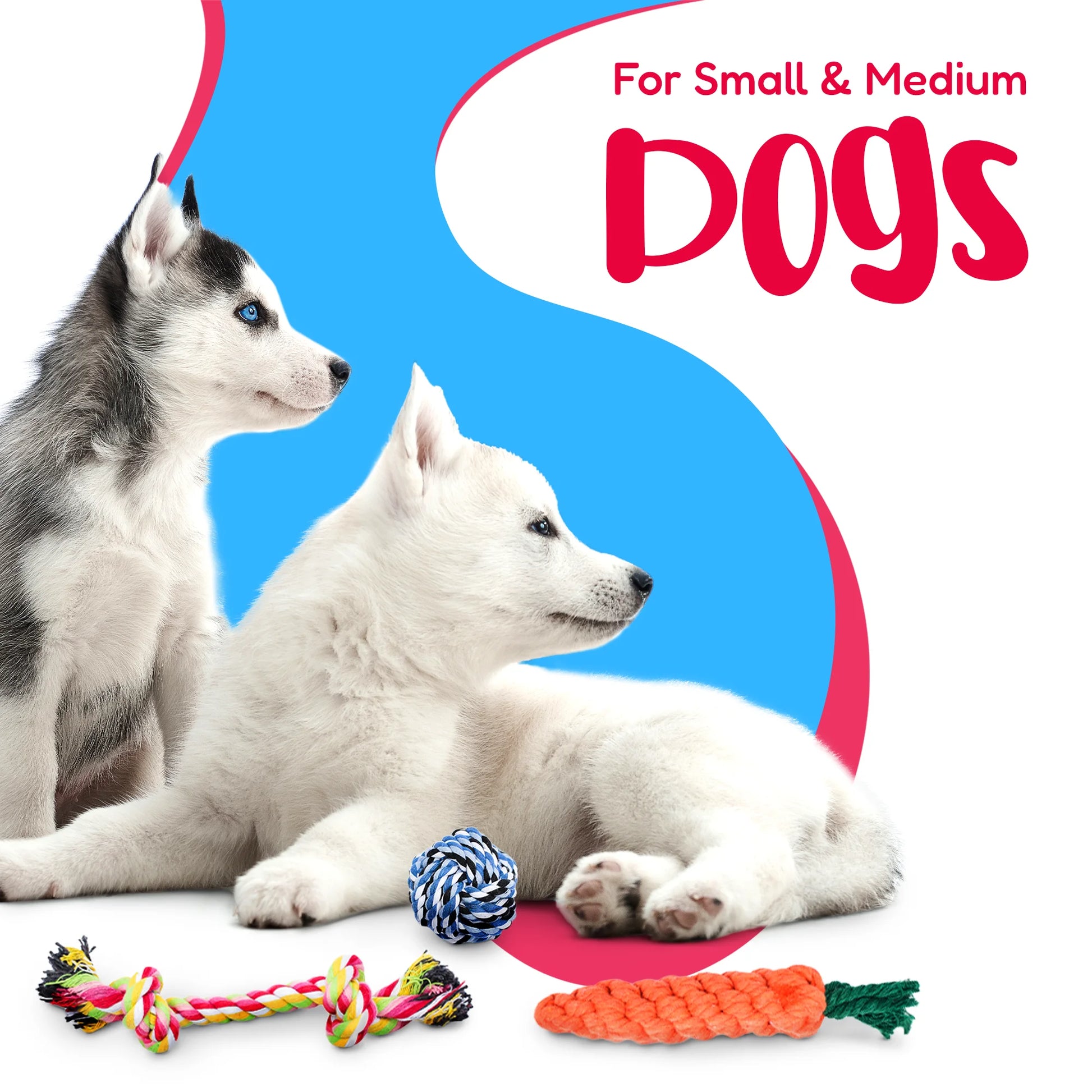 11-Piece Dog Rope Toy Set for Small & Medium Dogs | Interactive Chew & Tug Toys