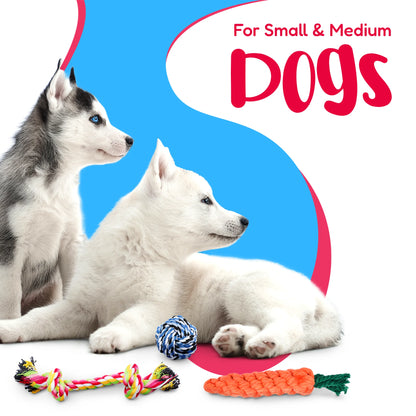 11-Piece Dog Rope Toy Set for Small & Medium Dogs | Interactive Chew & Tug Toys