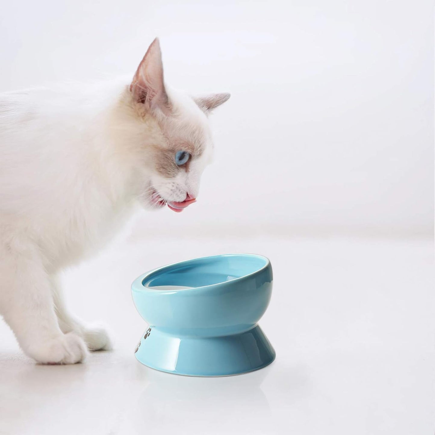Ceramic Tilted Cat Bowl | 15 oz Elevated Food & Water Bowl